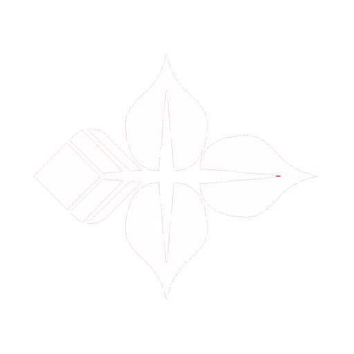 Nabil Bank payment option